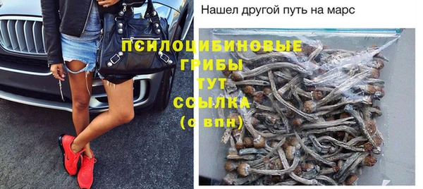 mdpv Алексин