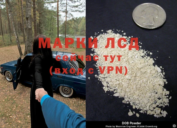 гидра Алексеевка