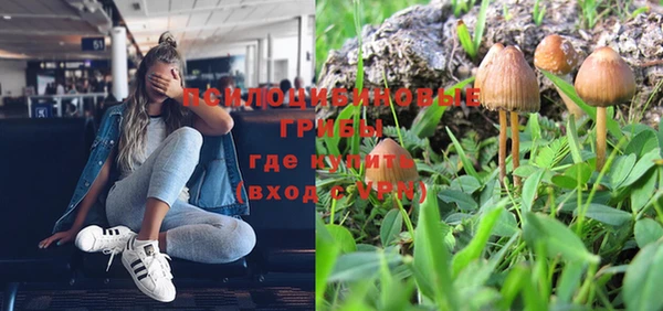 гидра Алексеевка